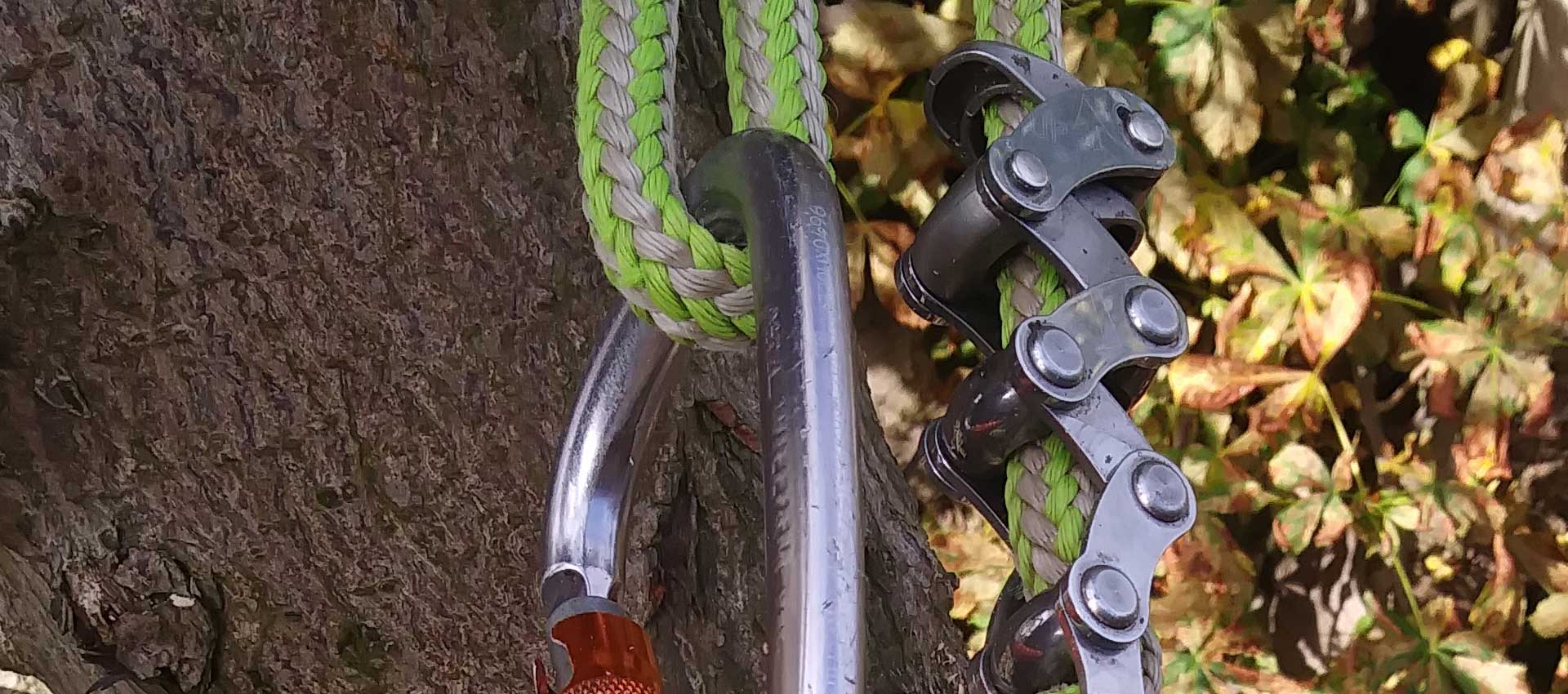 Tree-Solutions-Leeds-01
